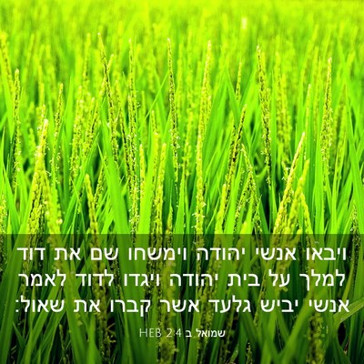 Picture 03 - שמואל ב 2:4 HEB - ויבאו אנשי יהודה וימשחו שם - Bible Verse Picture