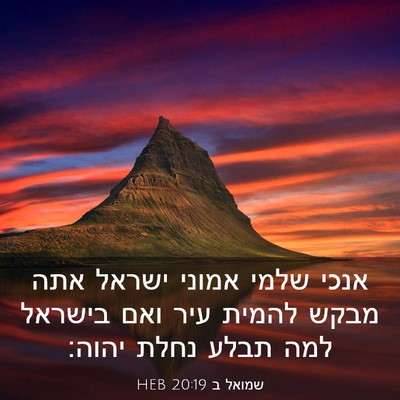 Picture 03 - שמואל ב 20:19 HEB - אנכי שלמי אמוני ישראל אתה - Bible Verse Picture