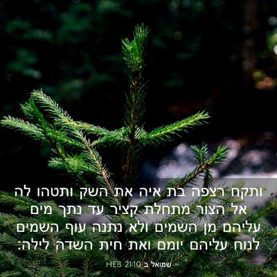 Picture 03 - שמואל ב 21:10 HEB - ותקח רצפה בת איה את השק - Bible Verse Picture