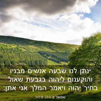 Picture 03 - שמואל ב 21:6 HEB - ינתן לנו שבעה אנשים מבניו - Bible Verse Picture