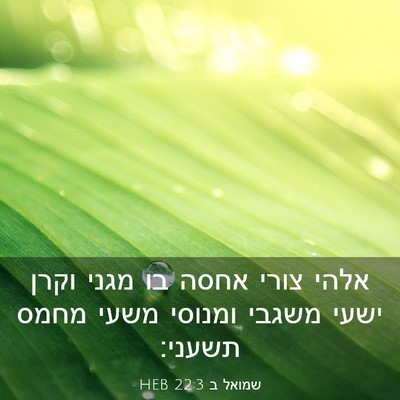Picture 03 - שמואל ב 22:3 HEB - אלהי צורי אחסה בו מגני וקרן - Bible Verse Picture