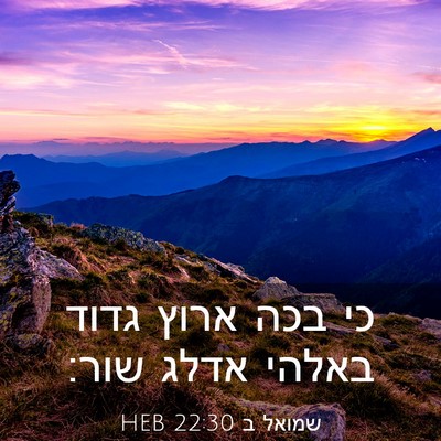 Picture 03 - שמואל ב 22:30 HEB - כי בכה ארוץ גדוד באלהי אדלג - Bible Verse Picture