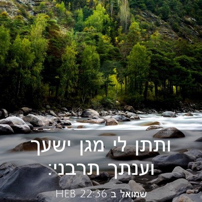 Picture 03 - שמואל ב 22:36 HEB - ותתן לי מגן ישעך וענתך - Bible Verse Picture