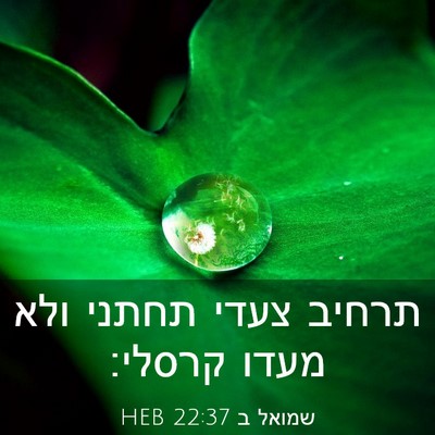 Picture 03 - שמואל ב 22:37 HEB - תרחיב צעדי תחתני ולא מעדו - Bible Verse Picture