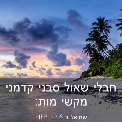 Picture 03 - שמואל ב 22:6 HEB - חבלי שאול סבני קדמני מקשי - Bible Verse Picture