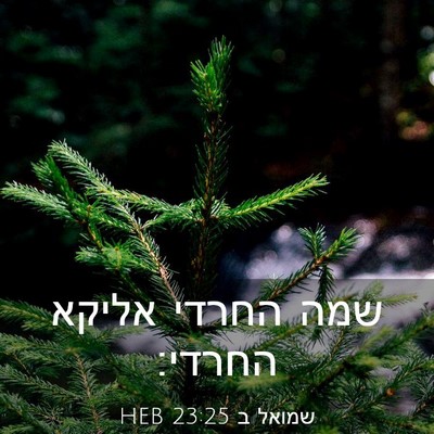Picture 03 - שמואל ב 23:25 HEB - שמה החרדי אליקא - Bible Verse Picture