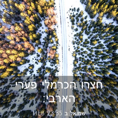 Picture 03 - שמואל ב 23:35 HEB - חצרו הכרמלי פערי - Bible Verse Picture