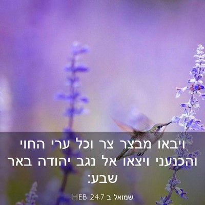 Picture 03 - שמואל ב 24:7 HEB - ויבאו מבצר צר וכל ערי החוי - Bible Verse Picture