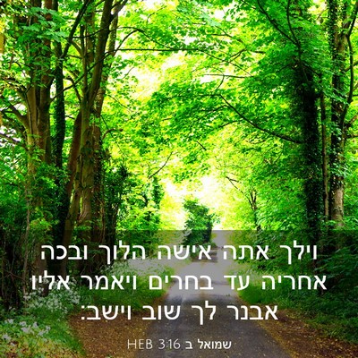 Picture 03 - שמואל ב 3:16 HEB - וילך אתה אישה הלוך ובכה - Bible Verse Picture