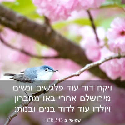 Picture 03 - שמואל ב 5:13 HEB - ויקח דוד עוד פלגשים ונשים - Bible Verse Picture