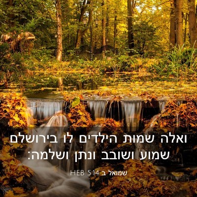 Picture 03 - שמואל ב 5:14 HEB - ואלה שמות הילדים לו - Bible Verse Picture