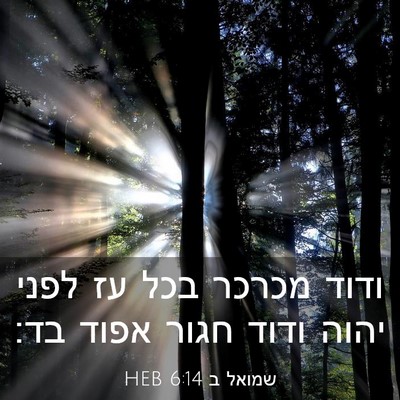 Picture 03 - שמואל ב 6:14 HEB - ודוד מכרכר בכל עז לפני יהוה - Bible Verse Picture