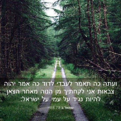 Picture 03 - שמואל ב 7:8 HEB - ועתה כה תאמר לעבדי לדוד כה - Bible Verse Picture
