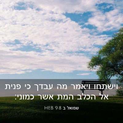 Picture 03 - שמואל ב 9:8 HEB - וישתחו ויאמר מה עבדך כי - Bible Verse Picture