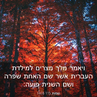 Picture 03 - שמות 1:15 HEB - ויאמר מלך מצרים למילדת - Bible Verse Picture