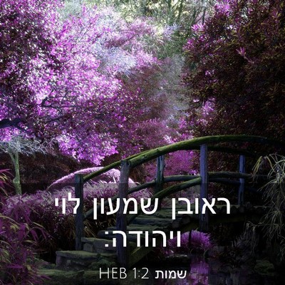 Picture 03 - שמות 1:2 HEB - ראובן שמעון לוי - Bible Verse Picture