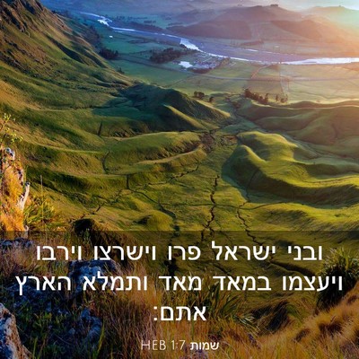 Picture 03 - שמות 1:7 HEB - ובני ישראל פרו וישרצו - Bible Verse Picture