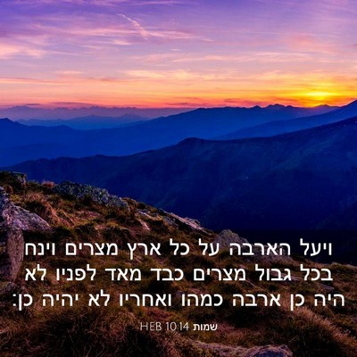 Picture 03 - שמות 10:14 HEB - ויעל הארבה על כל ארץ מצרים - Bible Verse Picture