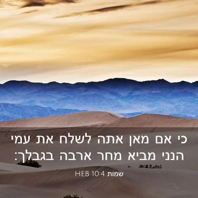 Picture 03 - שמות 10:4 HEB - כי אם מאן אתה לשלח את עמי - Bible Verse Picture
