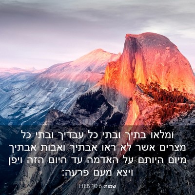 Picture 03 - שמות 10:6 HEB - ומלאו בתיך ובתי כל עבדיך - Bible Verse Picture
