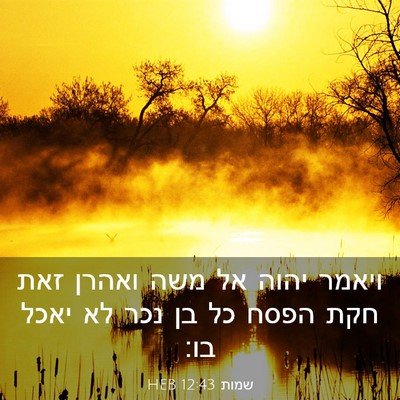 Picture 03 - שמות 12:43 HEB - ויאמר יהוה אל משה ואהרן זאת - Bible Verse Picture