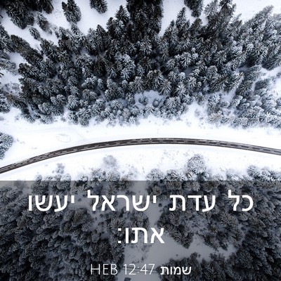 Picture 03 - שמות 12:47 HEB - כל עדת ישראל יעשו - Bible Verse Picture
