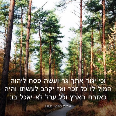 Picture 03 - שמות 12:48 HEB - וכי יגור אתך גר ועשה פסח - Bible Verse Picture