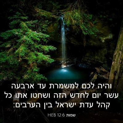 Picture 03 - שמות 12:6 HEB - והיה לכם למשמרת עד ארבעה - Bible Verse Picture