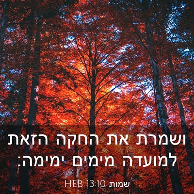 Picture 03 - שמות 13:10 HEB - ושמרת את החקה הזאת למועדה - Bible Verse Picture