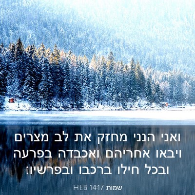 Picture 03 - שמות 14:17 HEB - ואני הנני מחזק את לב מצרים - Bible Verse Picture