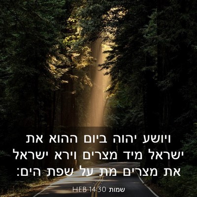 Picture 03 - שמות 14:30 HEB - ויושע יהוה ביום ההוא את - Bible Verse Picture