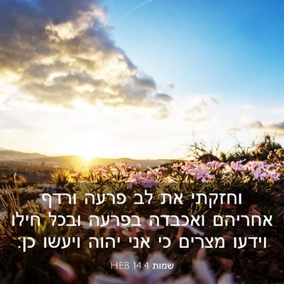Picture 03 - שמות 14:4 HEB - וחזקתי את לב פרעה ורדף - Bible Verse Picture