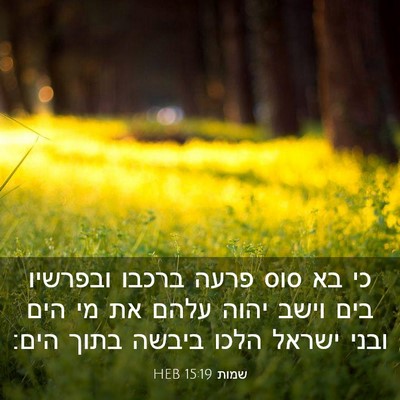 Picture 03 - שמות 15:19 HEB - כי בא סוס פרעה ברכבו - Bible Verse Picture