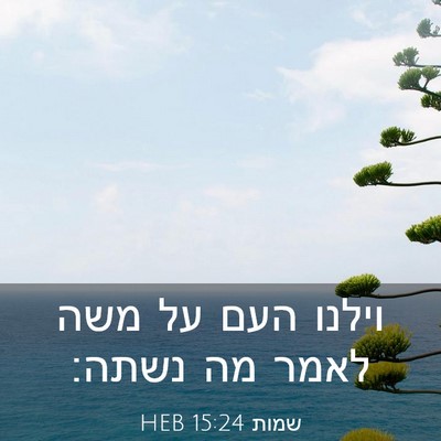 Picture 03 - שמות 15:24 HEB - וילנו העם על משה לאמר מה - Bible Verse Picture