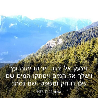Picture 03 - שמות 15:25 HEB - ויצעק אל יהוה ויורהו יהוה - Bible Verse Picture