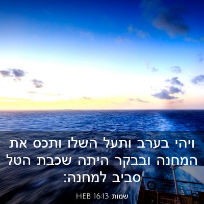 Picture 03 - שמות 16:13 HEB - ויהי בערב ותעל השלו ותכס את - Bible Verse Picture