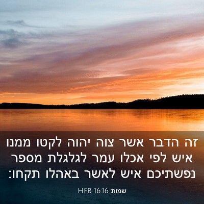 Picture 03 - שמות 16:16 HEB - זה הדבר אשר צוה יהוה לקטו - Bible Verse Picture