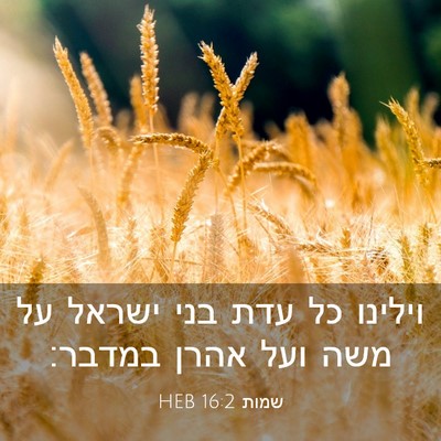 Picture 03 - שמות 16:2 HEB - וילינו כל עדת בני ישראל על - Bible Verse Picture