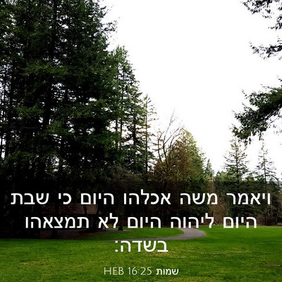 Picture 03 - שמות 16:25 HEB - ויאמר משה אכלהו היום כי שבת - Bible Verse Picture