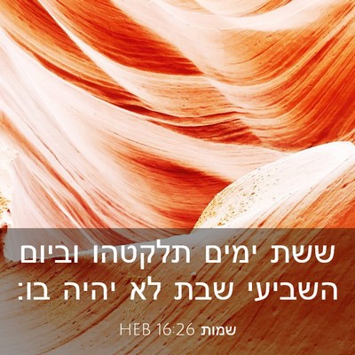 Picture 03 - שמות 16:26 HEB - ששת ימים תלקטהו וביום - Bible Verse Picture