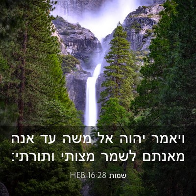 Picture 03 - שמות 16:28 HEB - ויאמר יהוה אל משה עד אנה - Bible Verse Picture