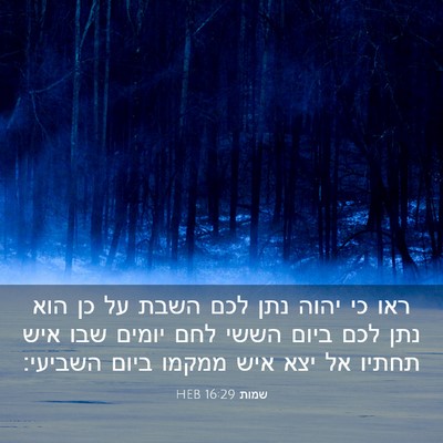Picture 03 - שמות 16:29 HEB - ראו כי יהוה נתן לכם השבת על - Bible Verse Picture
