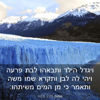 Picture 03 - שמות 2:10 HEB - ויגדל הילד ותבאהו לבת פרעה - Bible Verse Picture