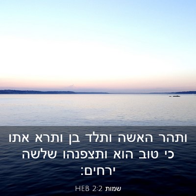 Picture 03 - שמות 2:2 HEB - ותהר האשה ותלד בן ותרא אתו - Bible Verse Picture