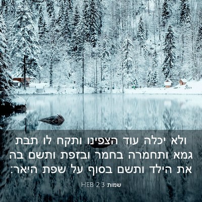 Picture 03 - שמות 2:3 HEB - ולא יכלה עוד הצפינו ותקח לו - Bible Verse Picture