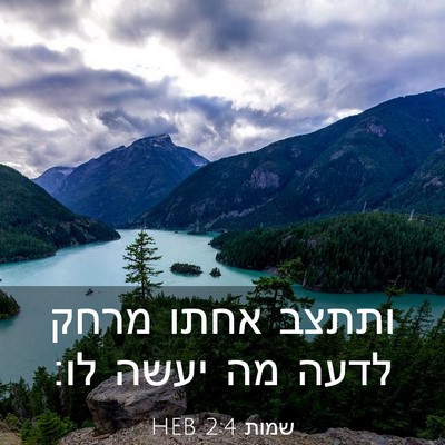 Picture 03 - שמות 2:4 HEB - ותתצב אחתו מרחק לדעה מה - Bible Verse Picture