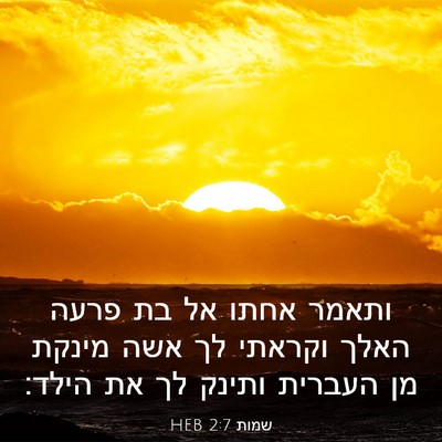 Picture 03 - שמות 2:7 HEB - ותאמר אחתו אל בת פרעה האלך - Bible Verse Picture