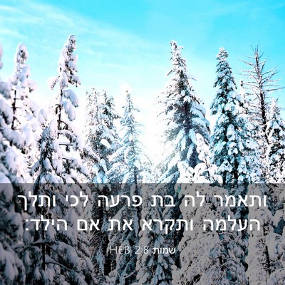 Picture 03 - שמות 2:8 HEB - ותאמר לה בת פרעה לכי ותלך - Bible Verse Picture