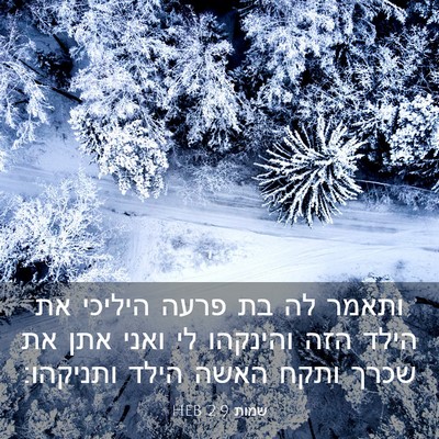 Picture 03 - שמות 2:9 HEB - ותאמר לה בת פרעה היליכי את - Bible Verse Picture