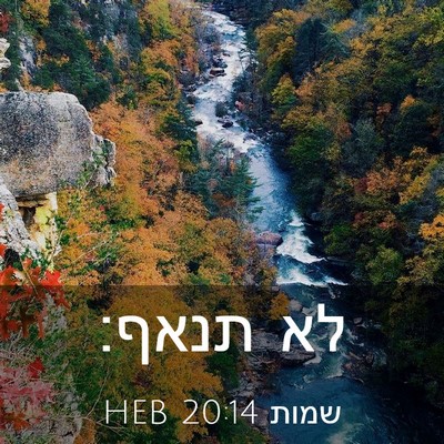 Picture 03 - שמות 20:14 HEB - לא - Bible Verse Picture